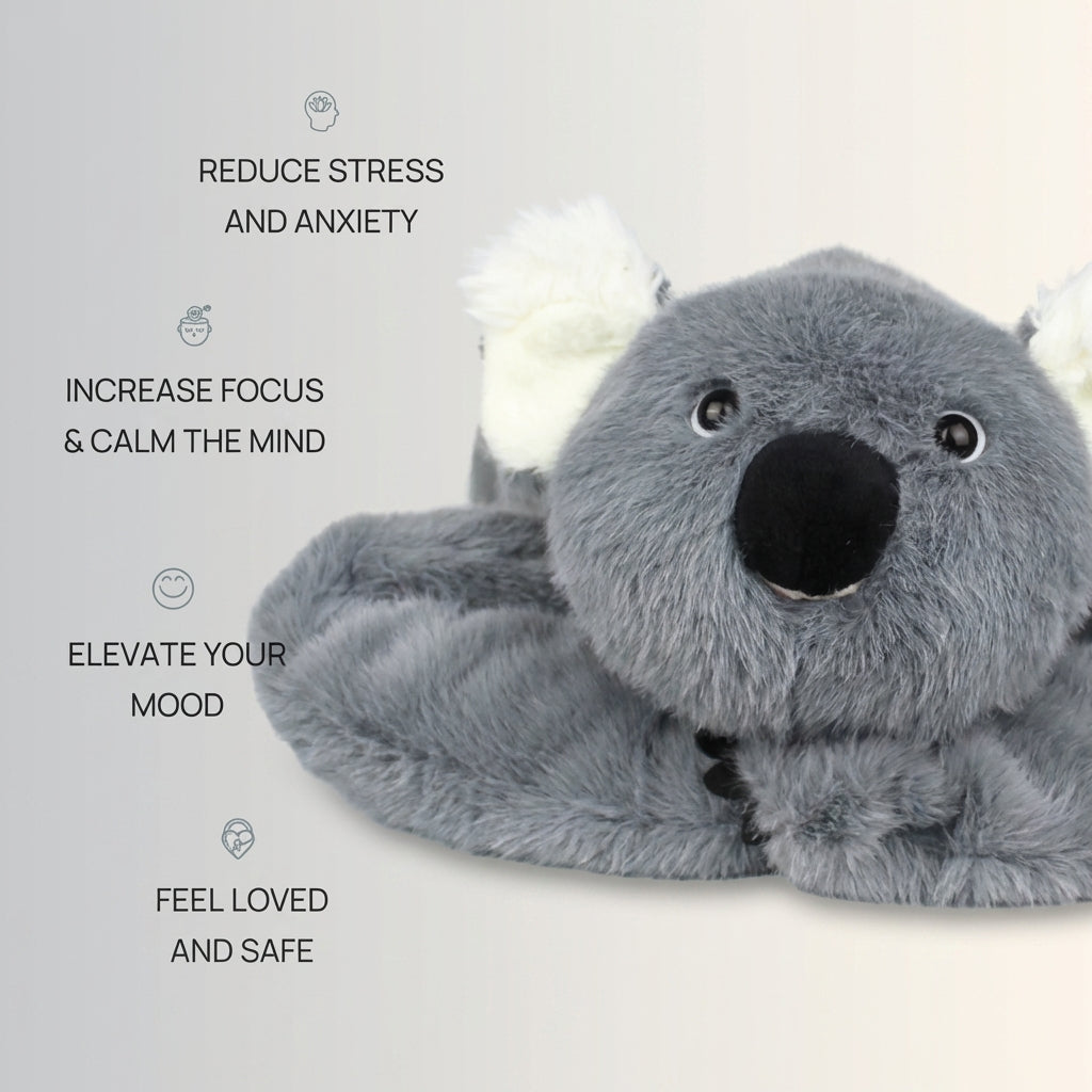 Kodi The Koala